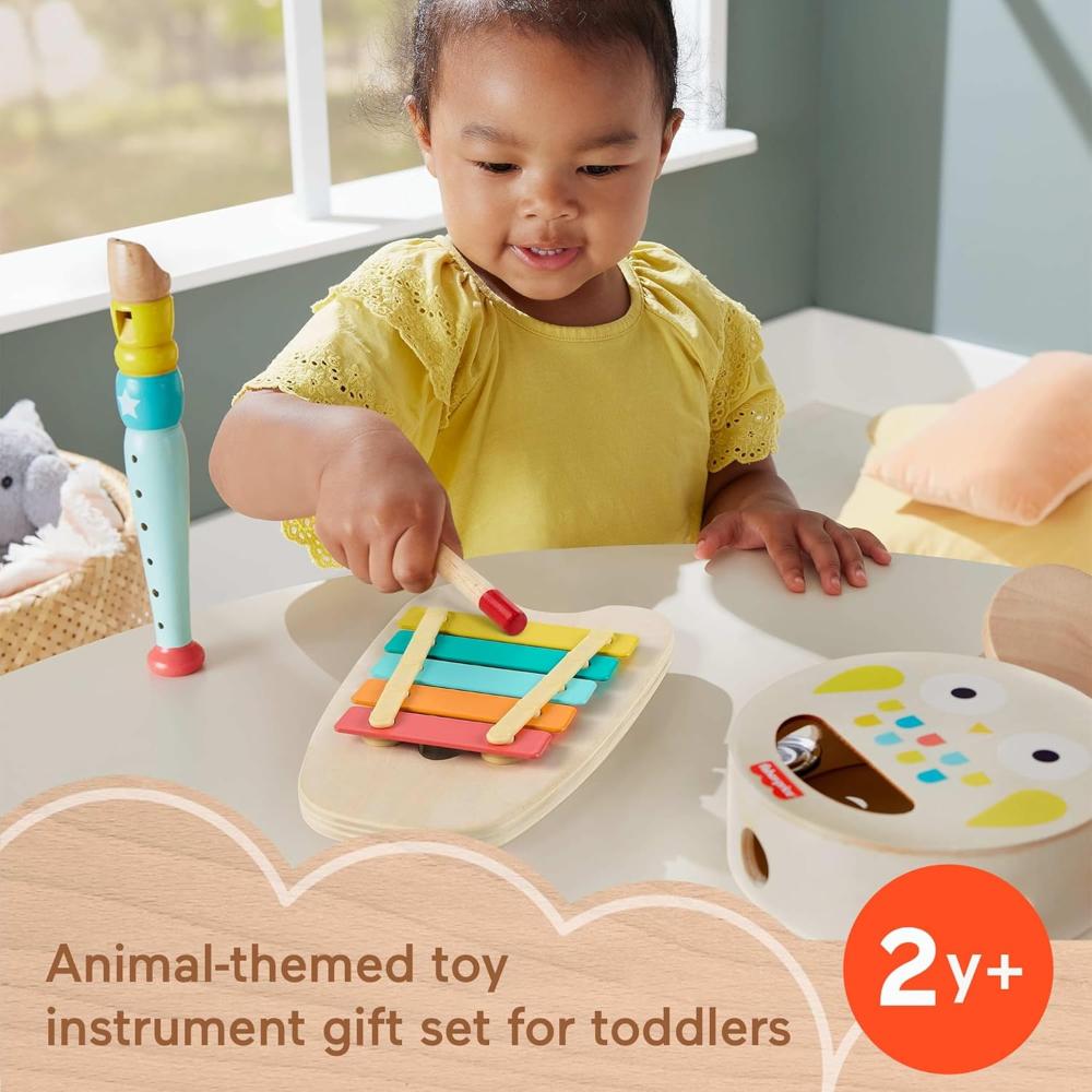 Fisher-Price Wooden Musical Instruments Gift Set