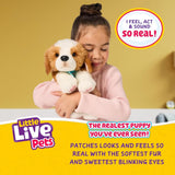 Little Live Pets My Really Real Puppy