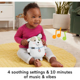 Fisher Price Calming Vibes Puppy Soother