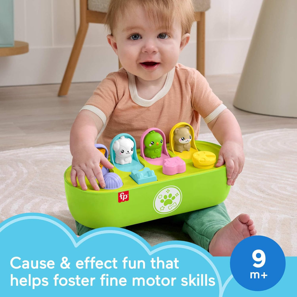 Fisher-Price Fp Pets Fine Motor Pop-Up Baby Activity Toy
