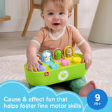Fisher-Price Fp Pets Fine Motor Pop-Up Baby Activity Toy