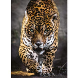 Clementoni Puzzle Jaguar 1000 pcs