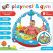 Galt Playnest And Gym Farm