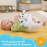 Fisher Price Calming Vibes Puppy Soother