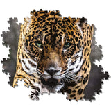Clementoni Puzzle Jaguar 1000 pcs