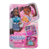 Barbie Dream Besties Doll Barbie Brooklyn