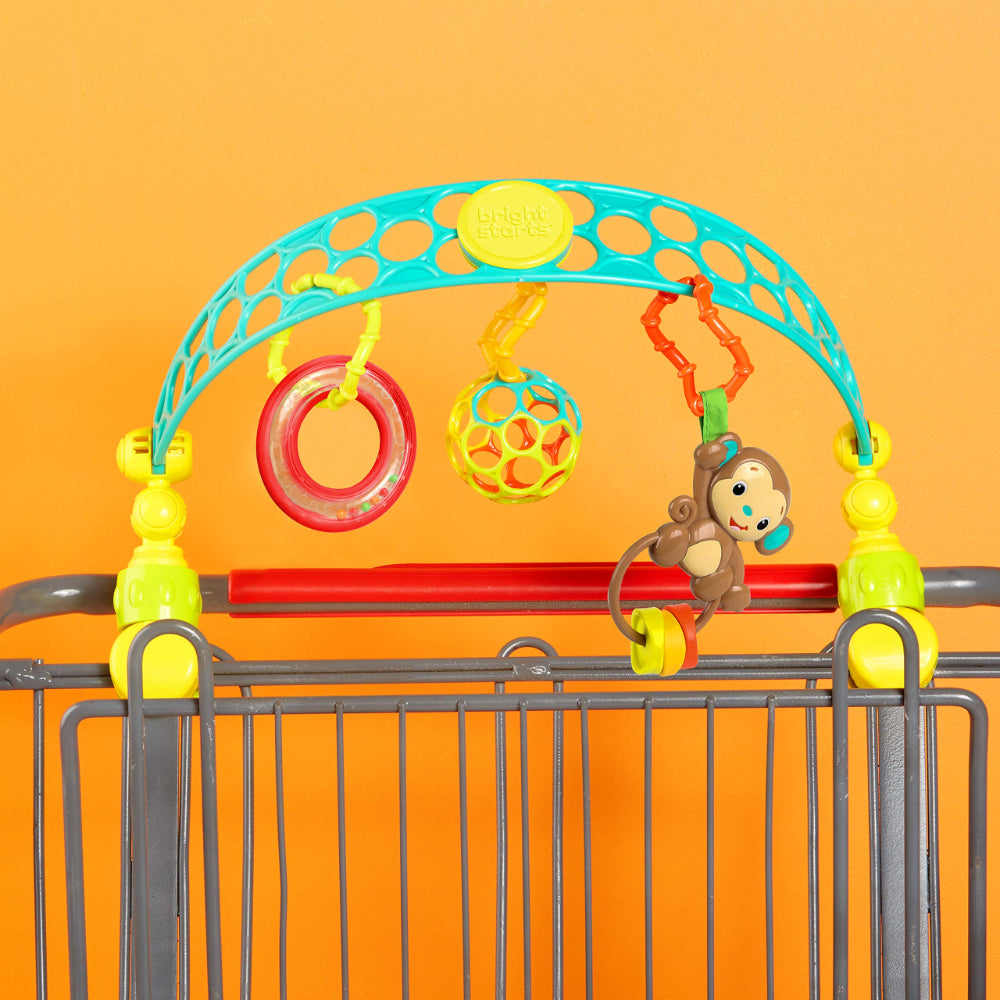 Bright Starts Flex ‘n Go Activity Arch Take-Along Toy