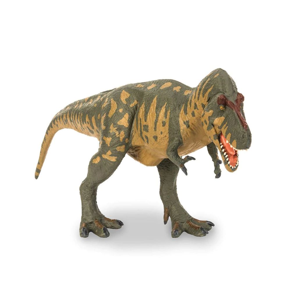 Terra Tyrannosaurus Rex Dinosaur