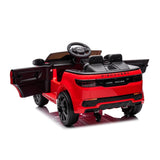 Ray Fun Land Rover Discovery