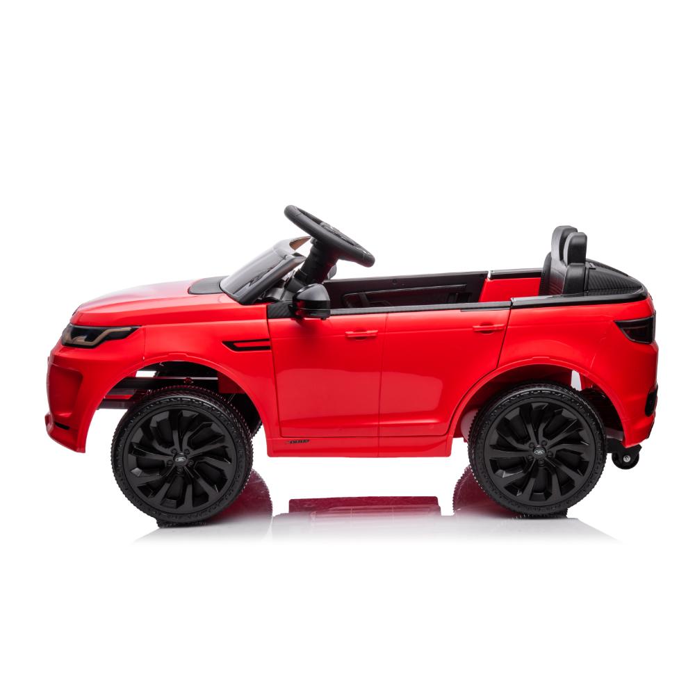 Ray Fun Land Rover Discovery
