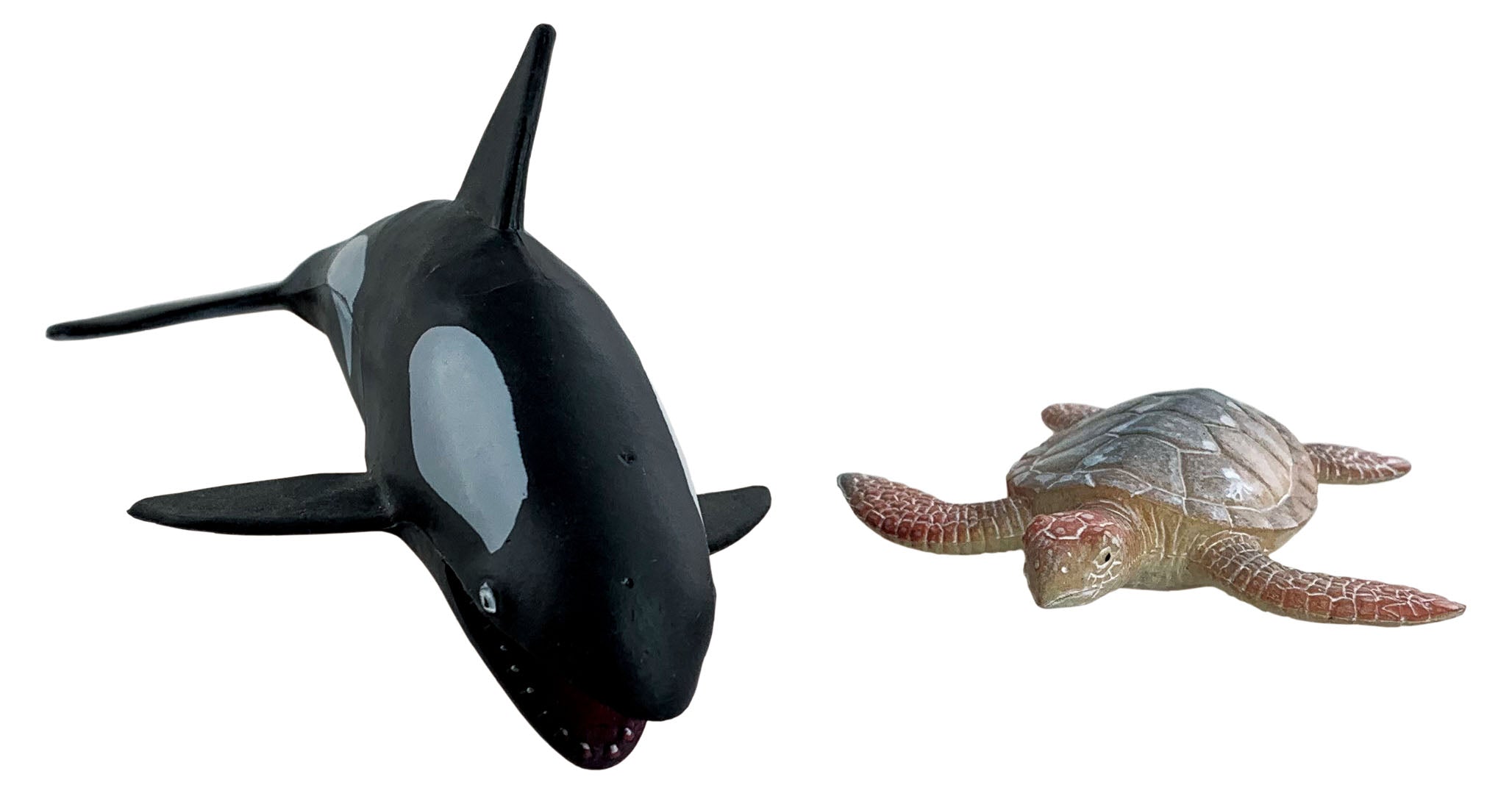 Animal Planet 2 Pcs Killer Whale And Turtle In Open Touch Box