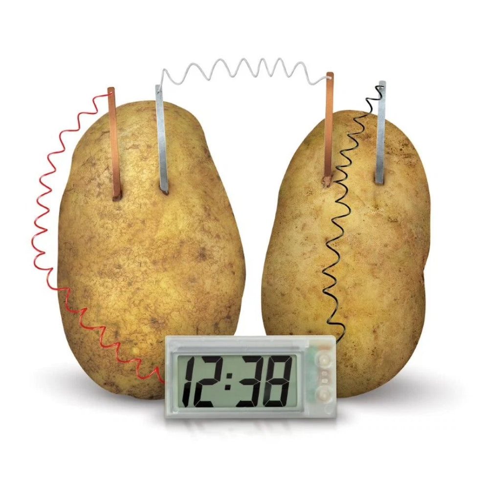 4M Green Science Potato Clock