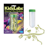 4M KidzLabs Glow TRex Skeleton