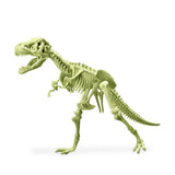 4M KidzLabs Glow TRex Skeleton