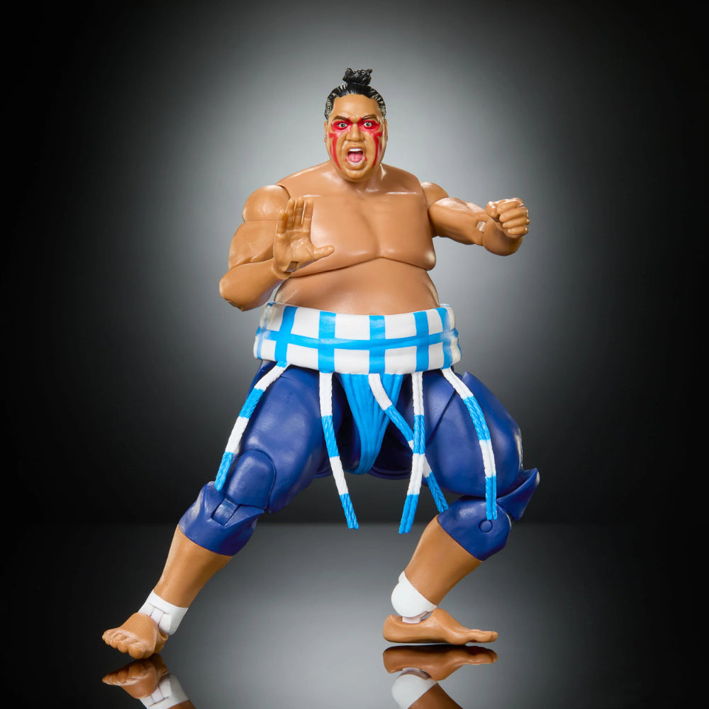 WWE Street Fighter Elite Asst