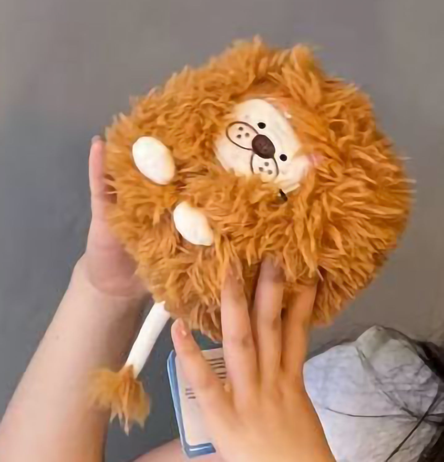 Square Pals Lion 10cm