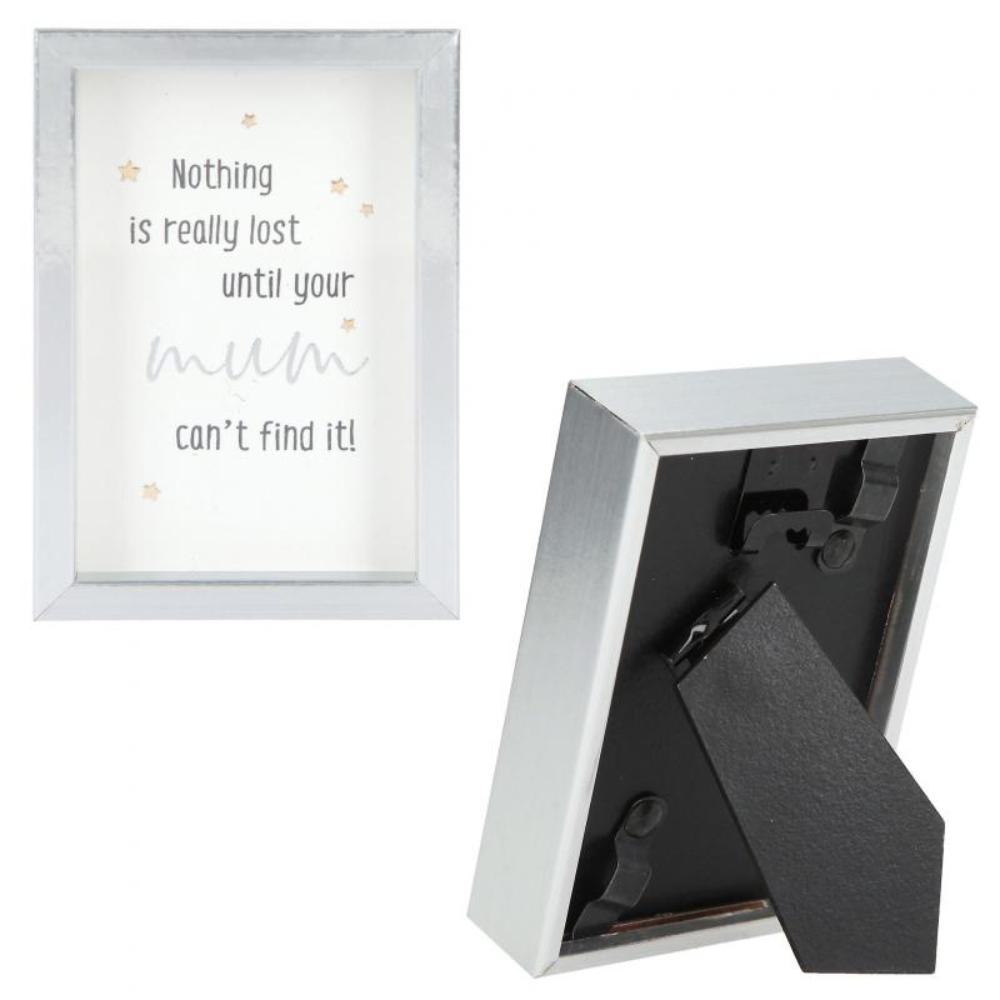 Top Model In Picture Frame Small