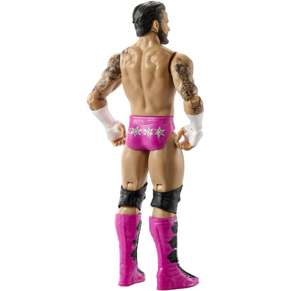 WWE Core CM Punk