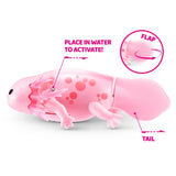 Zuru Pets Alive Water Activated Swimming Axolotl