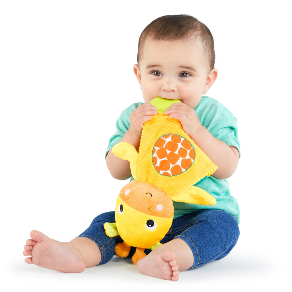 Bright Starts Snuggle  Teethe Plush Teether Toy Assortment