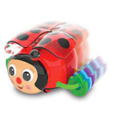The Learning Journey Crawl About Ladybug