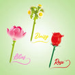 Canal Toys Flower Brick Pen - 3Pack