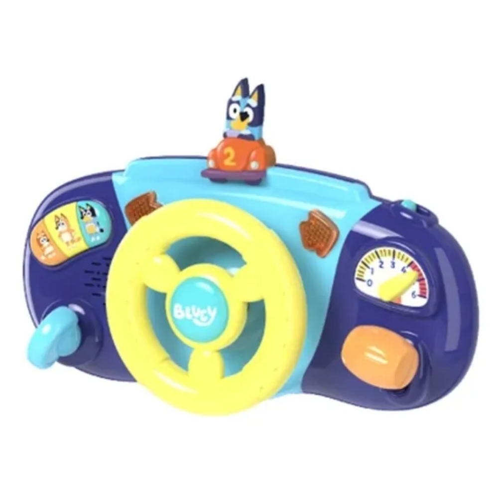 Bluey s Driver Dashboard Bluey s Driver Dashboard