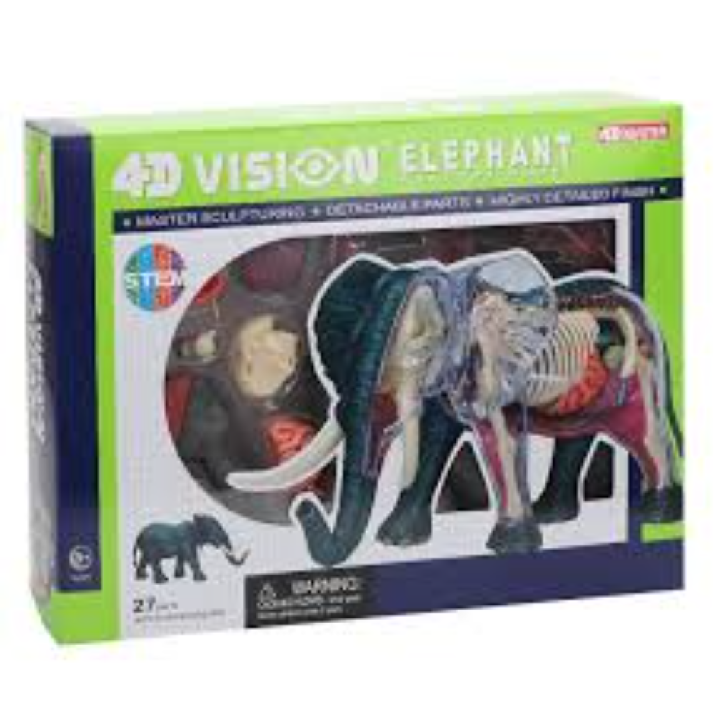 4D Elephant Anatomy