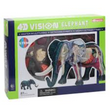 4D Elephant Anatomy