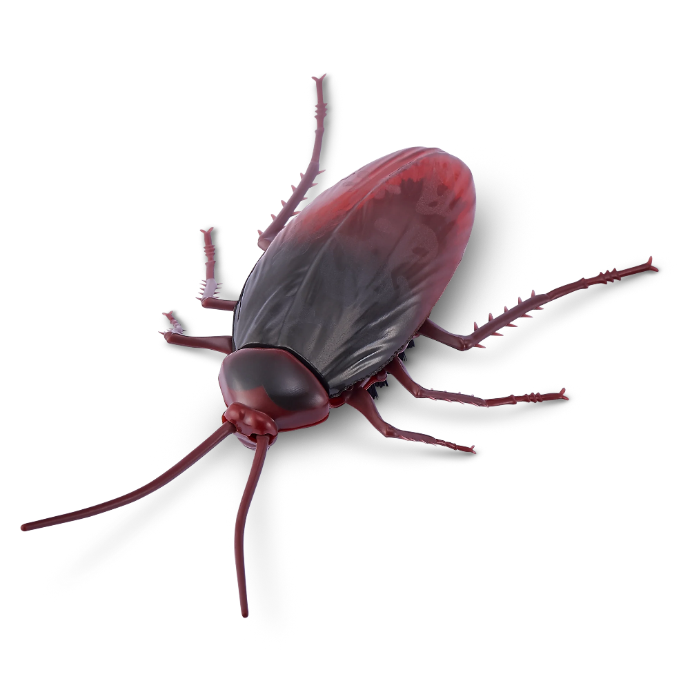 Robo Alive Standard Series 2 Cockroach