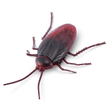 Robo Alive Standard Series 2 Cockroach