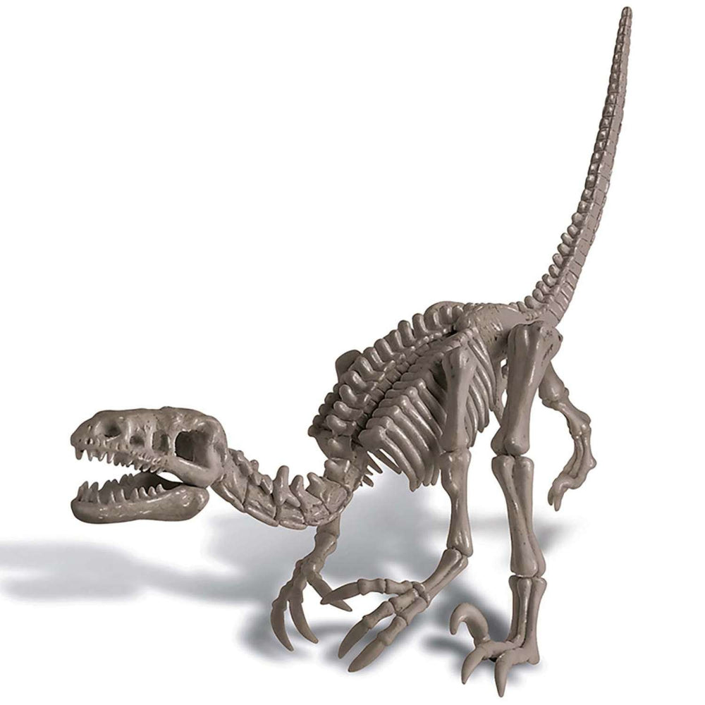 4M KidzLabs Dig A Dinosaur Skeleton Velociraptor