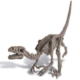 4M KidzLabs Dig A Dinosaur Skeleton Velociraptor