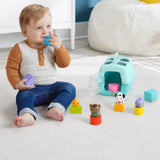 Fisher Price Sort & Play Pet Carrier