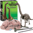 4M KidzLabs Dig A Dinosaur Skeleton Brachiosaurus