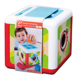 Hape Shape Sorting Box