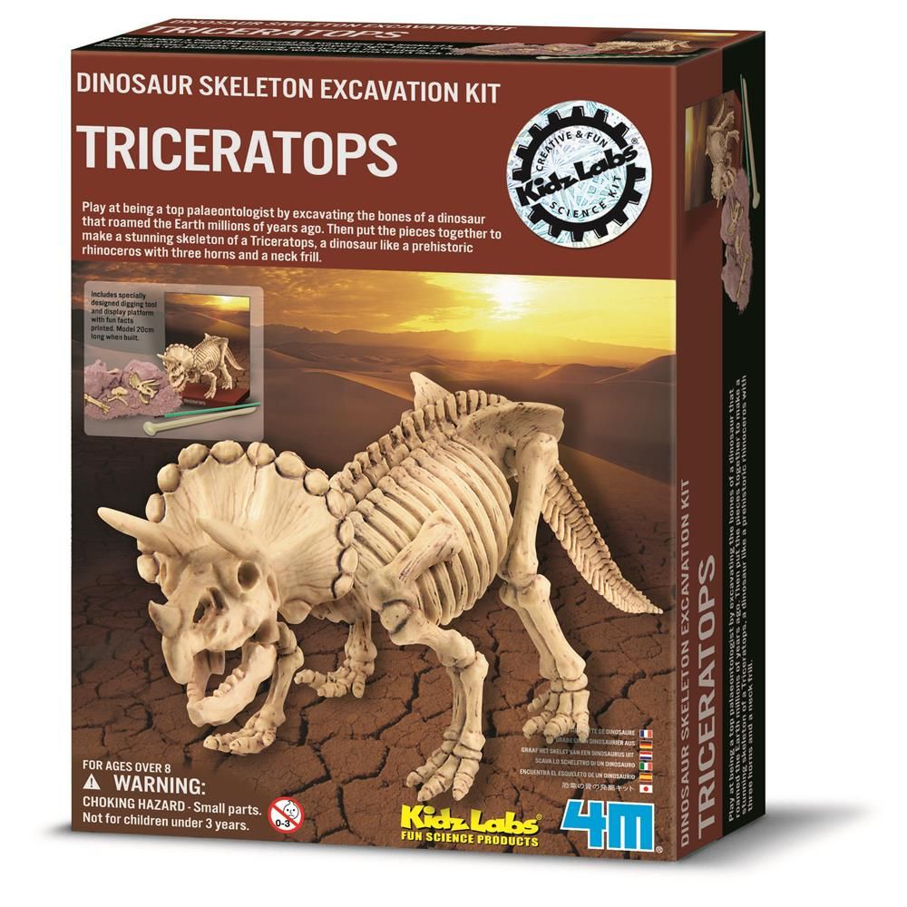 4M Triceratops Skeleton Excavation