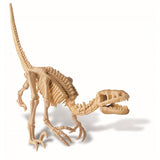 4M Kidz Labs / Velociraptor Skeleton Excavation  Image#6