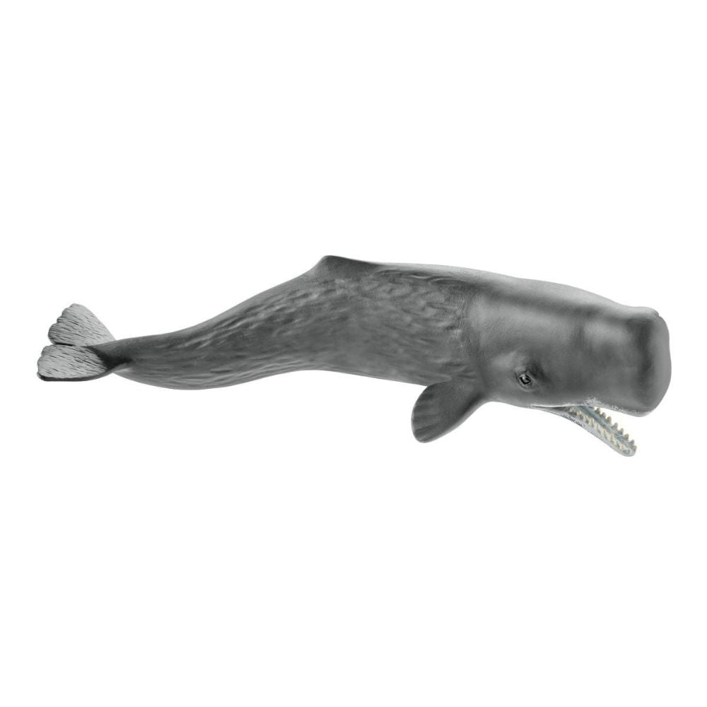 Schleich - Sperm Whale