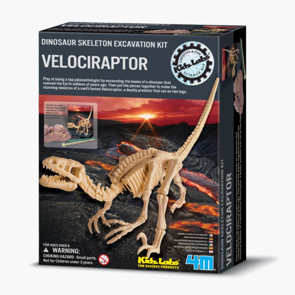 4M Kidz Labs Velociraptor Skeleton Excavation Set