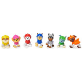 Paw Patrol Rescue Knights Mini Figures Assorted