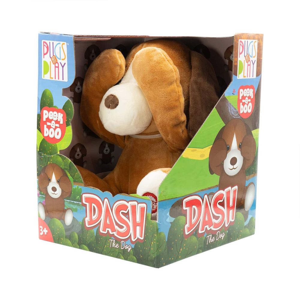 Pugs at Play Peek-a-Boo Dash the Dog