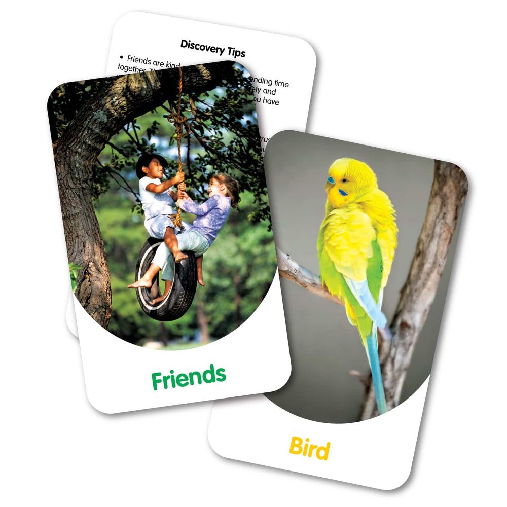 The Learning Journey In & Around Discovery Cards (26 Double-Sided Cards)