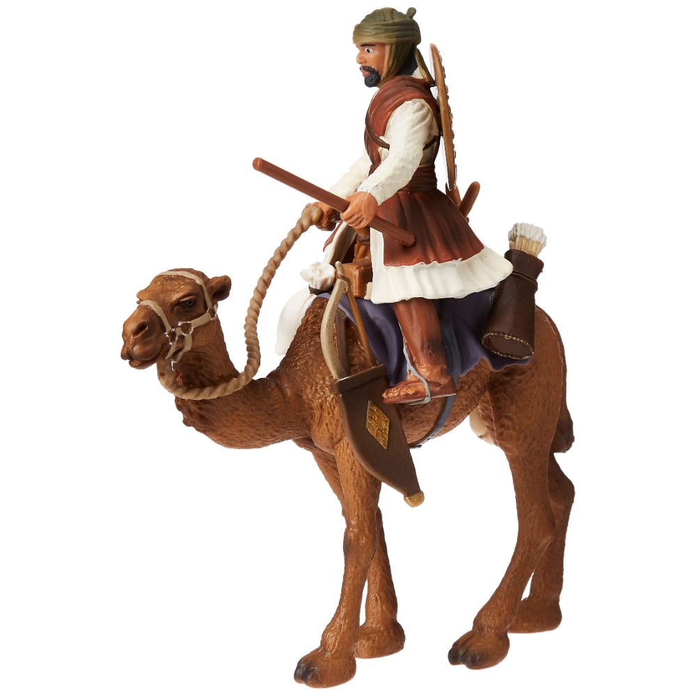 Soldier on Dromedary