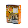 Edu Toys Dig it Stegosaurus Toy