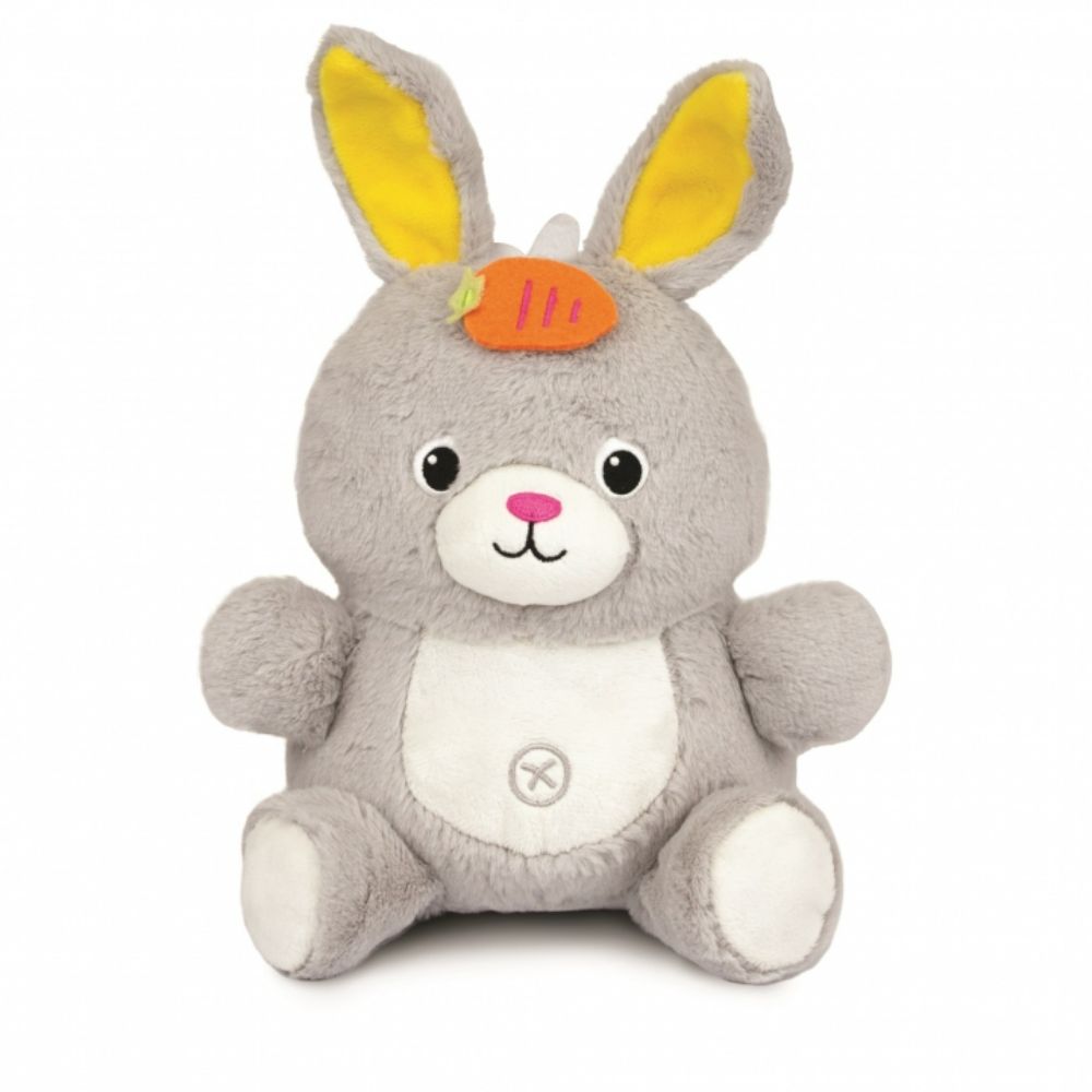 Winfun Play-with-Me Dance Pal - Bunny Winfun Play-with-Me Dance Pal - Bunny