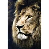 Trefl 1500 Piece Jigsaw Puzzle, Lion's Portrait