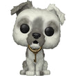 Funko Pop Disney: Walt Disney World 50th - Pirates of the Caribbean Dog with Keys