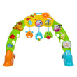 Winfun Brnyard Pals Ply Gym 3In1  Image#1