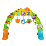 Winfun Brnyard Pals Ply Gym 3In1  Image#1